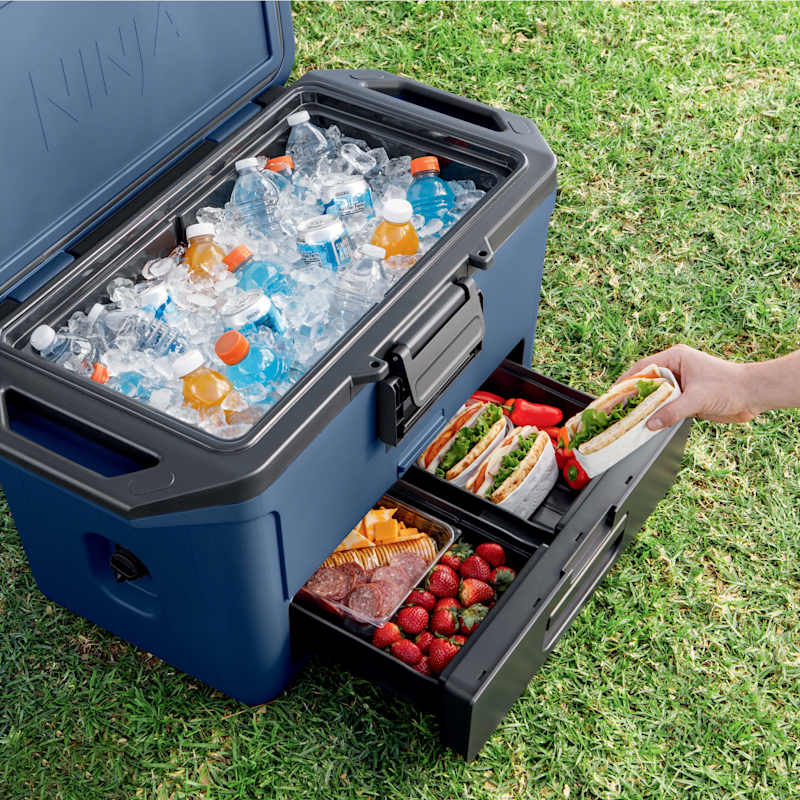 Ninja FrostVault™ 50qt Hard Cooler with Dry Zone, Lakeshore Blue
