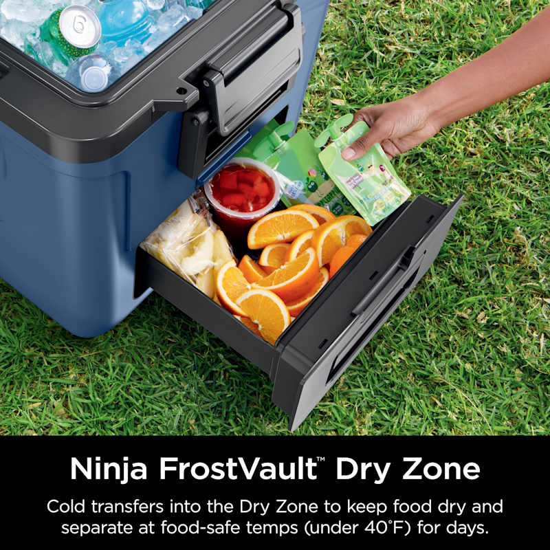 Ninja FrostVault™ 30qt Wheeled Cooler with Dry Zone, Lakeshore Blue