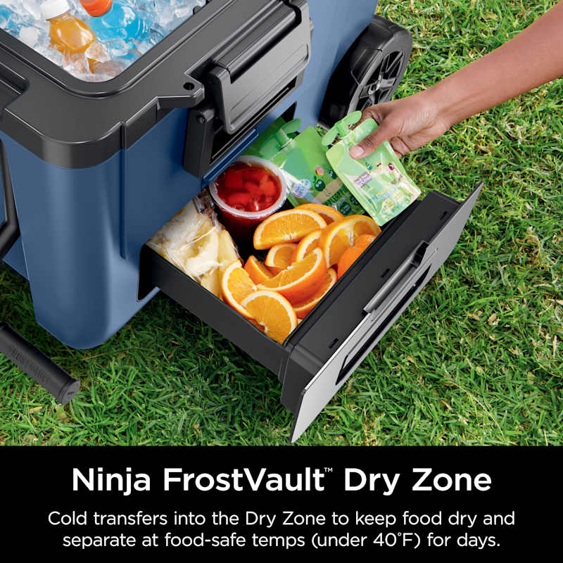Ninja FrostVault™ 45qt Wheeled Cooler with Dry Zone, Lakeshore Blue