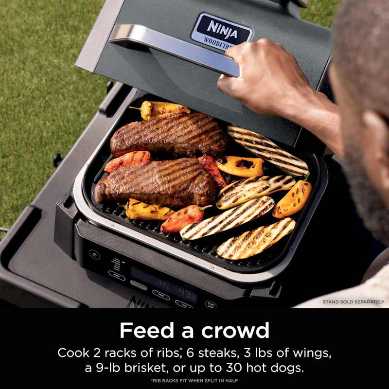 Ninja Woodfire® Outdoor Grill & Smoker, 6-in-1 Functionality
