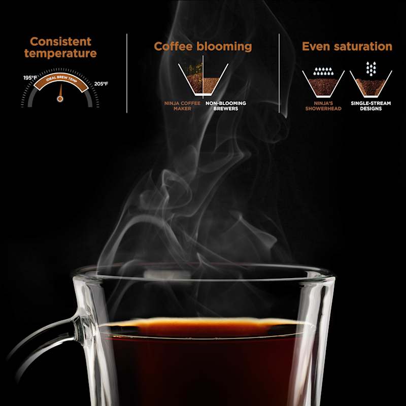 Ninja® Hot & Iced Coffee Maker with Rapid Cold Brew