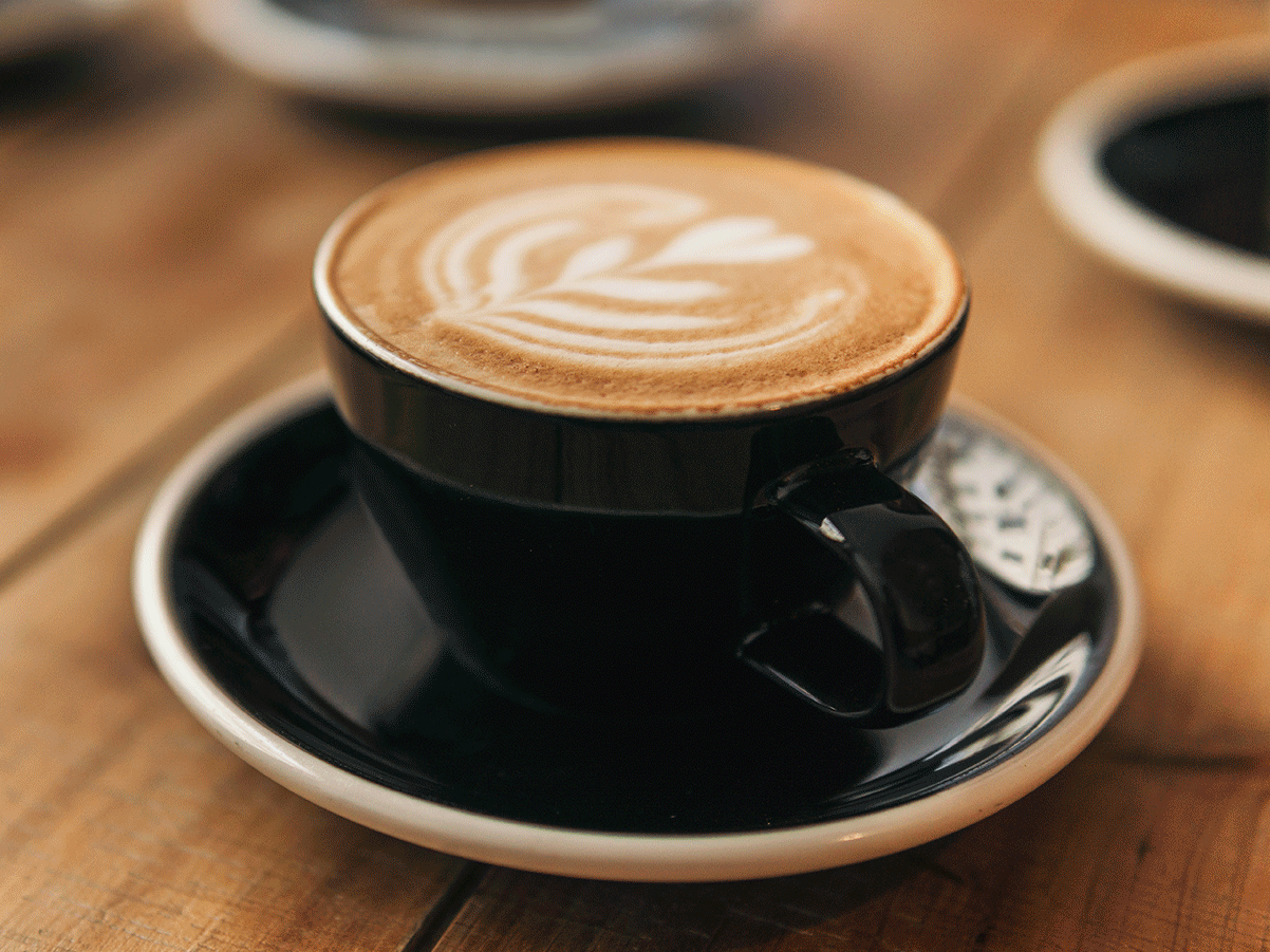 Ninja Luxe™ Café Premier Series 3-in-1 Espresso Machine Drip Coffee Maker & Cold Brew Machine