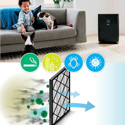 Shark™ Air Purifier 4 with Anti-Allergen Multi-Filter and Smart Sensing